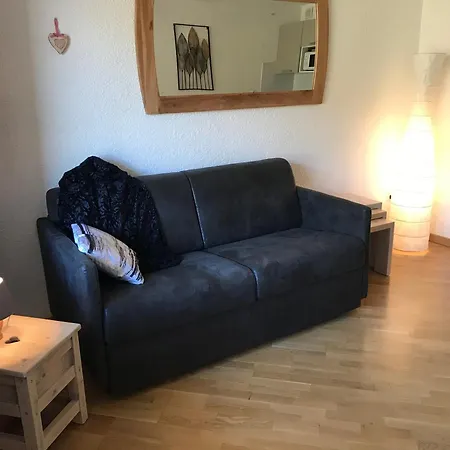 Apartment Renove Sur Les Pistes - 4 Pers - Balcon - Parking - Animaux Admis - Fr-1-445-146